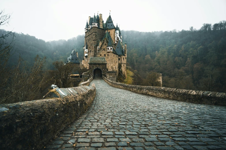 a castle made out of stone in the middle of the woods