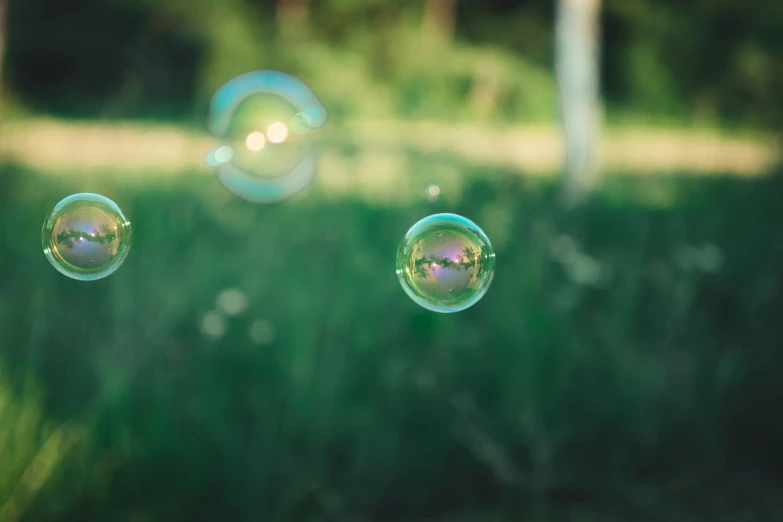 two bubbles that have been blown into the air