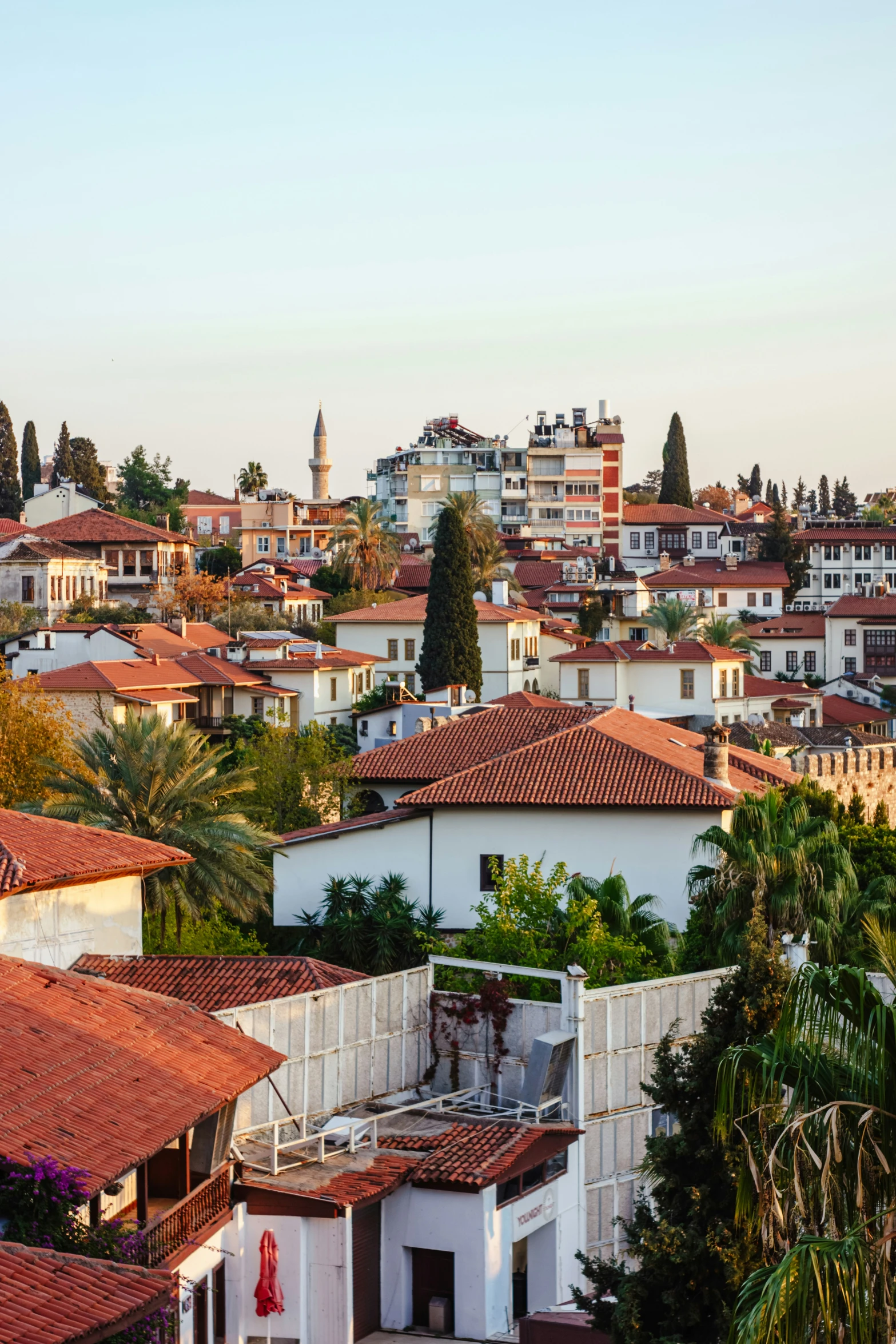 roofs of buildings in a residential neighborhood with the skyline visible