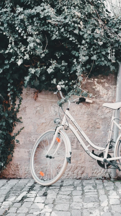 a white bike next to a building near plants