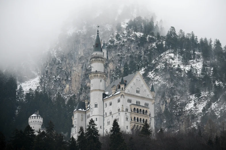 a castle in the snow surrounded by trees