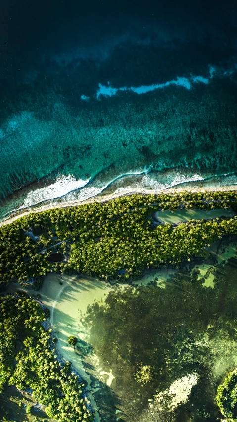 aerial view of forested area and coastline at night