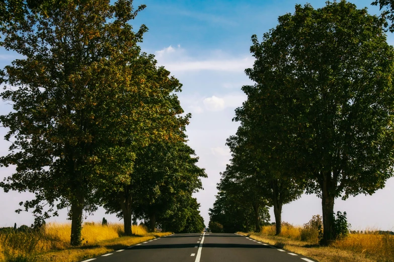 an empty road with white arrows painted on it