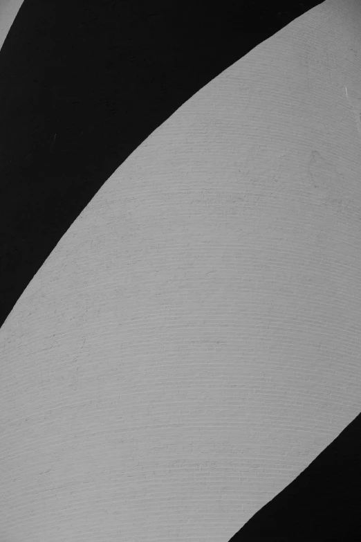 a circular object that is black and white