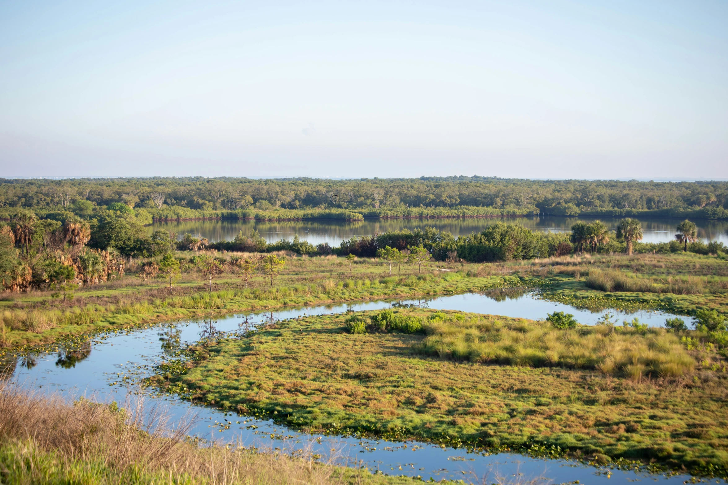 a body of water near a grassy area