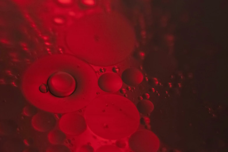 a close up of red bubbles floating on water