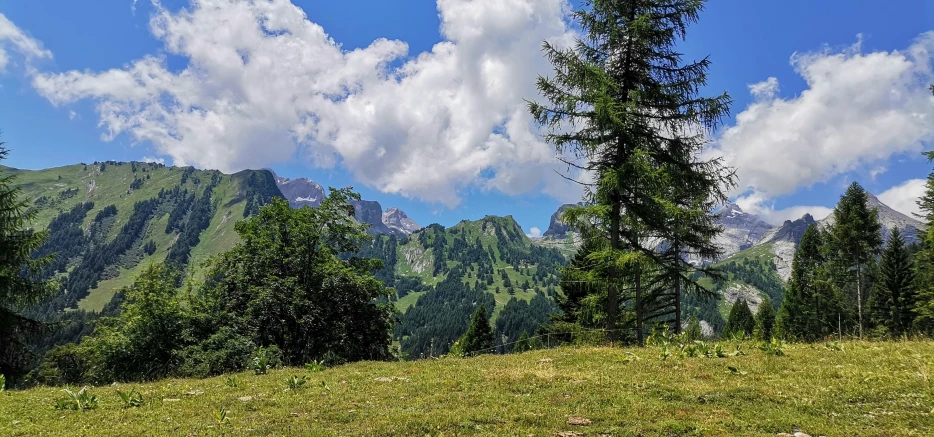 there are trees on the mountains with the clouds behind them