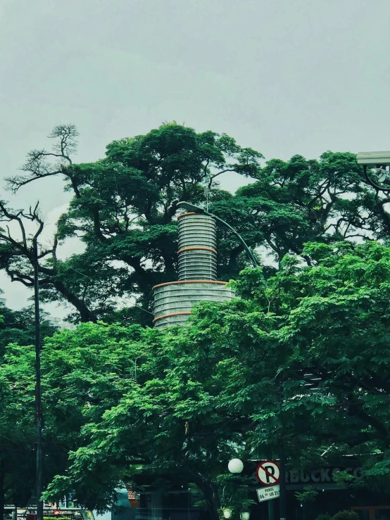 a big tall building in the middle of trees