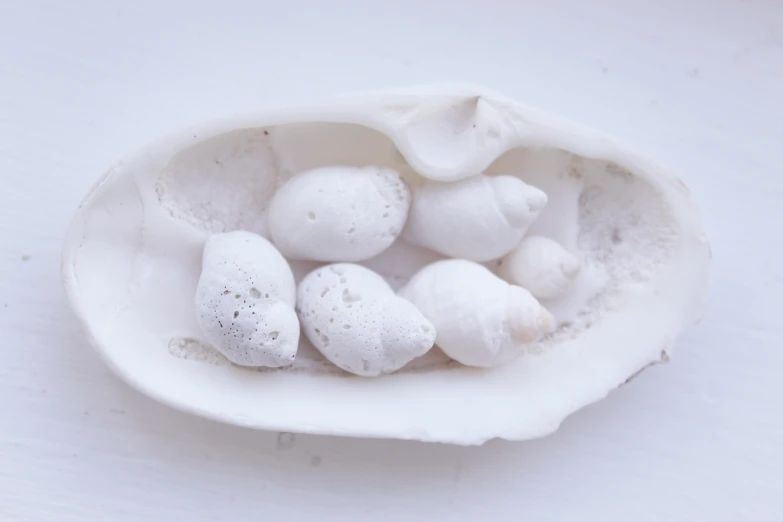 several pieces of food in a white bowl