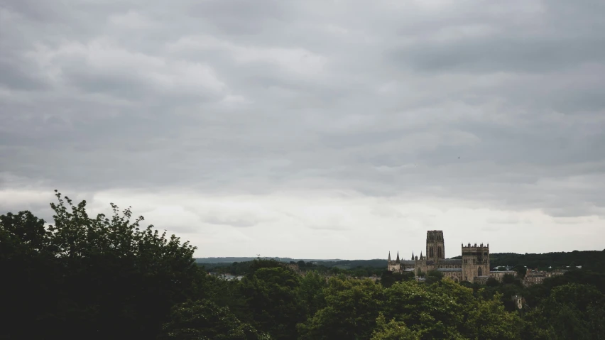 there is a castle tower and many trees