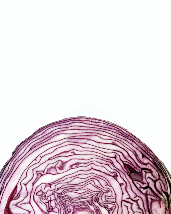 a close - up image of a red cabbage against a white background