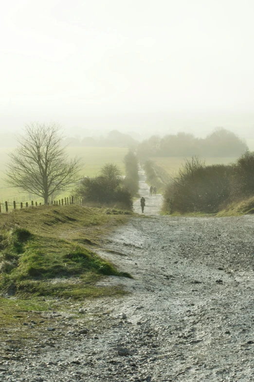 person walking down road on foggy day with horse and dog nearby