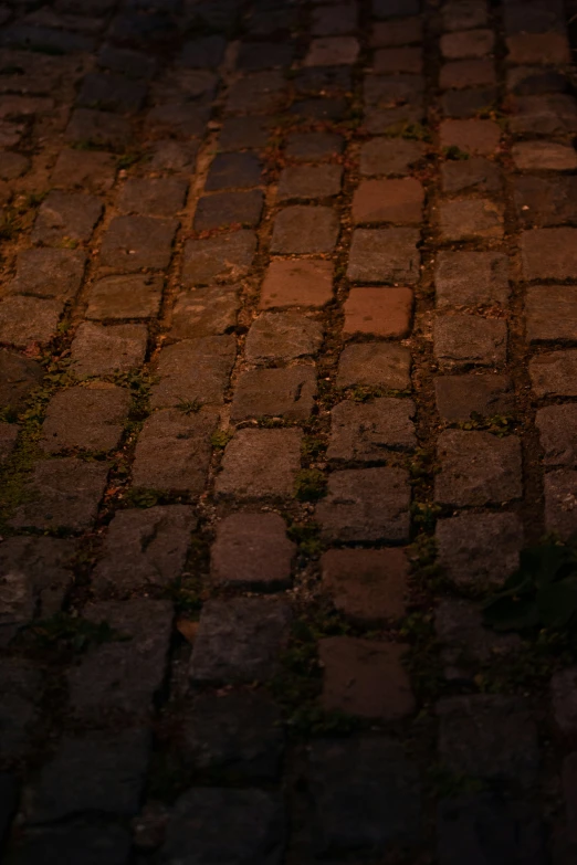 a red stop sign sitting on the side of a brick road