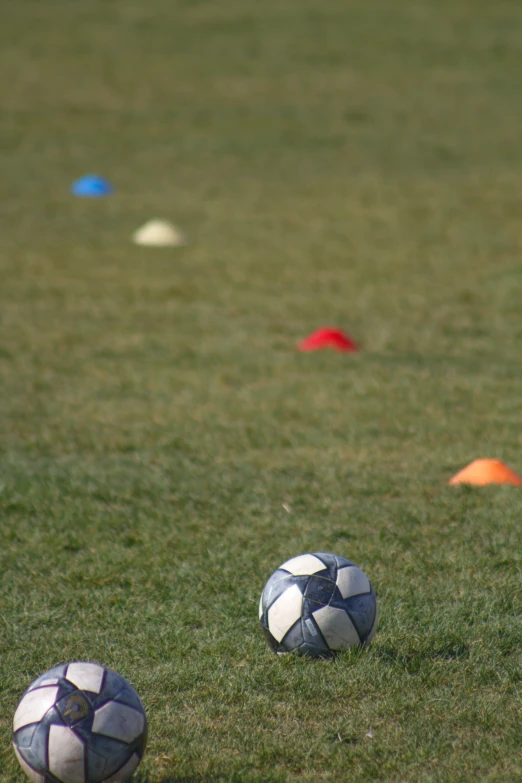 soccer balls sitting in the grass on a sunny day