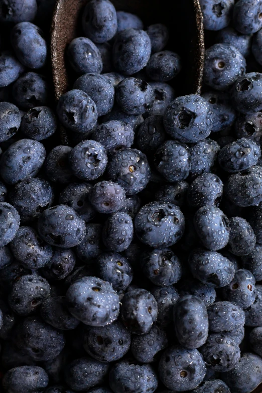 a table topped with blueberries and blueberries