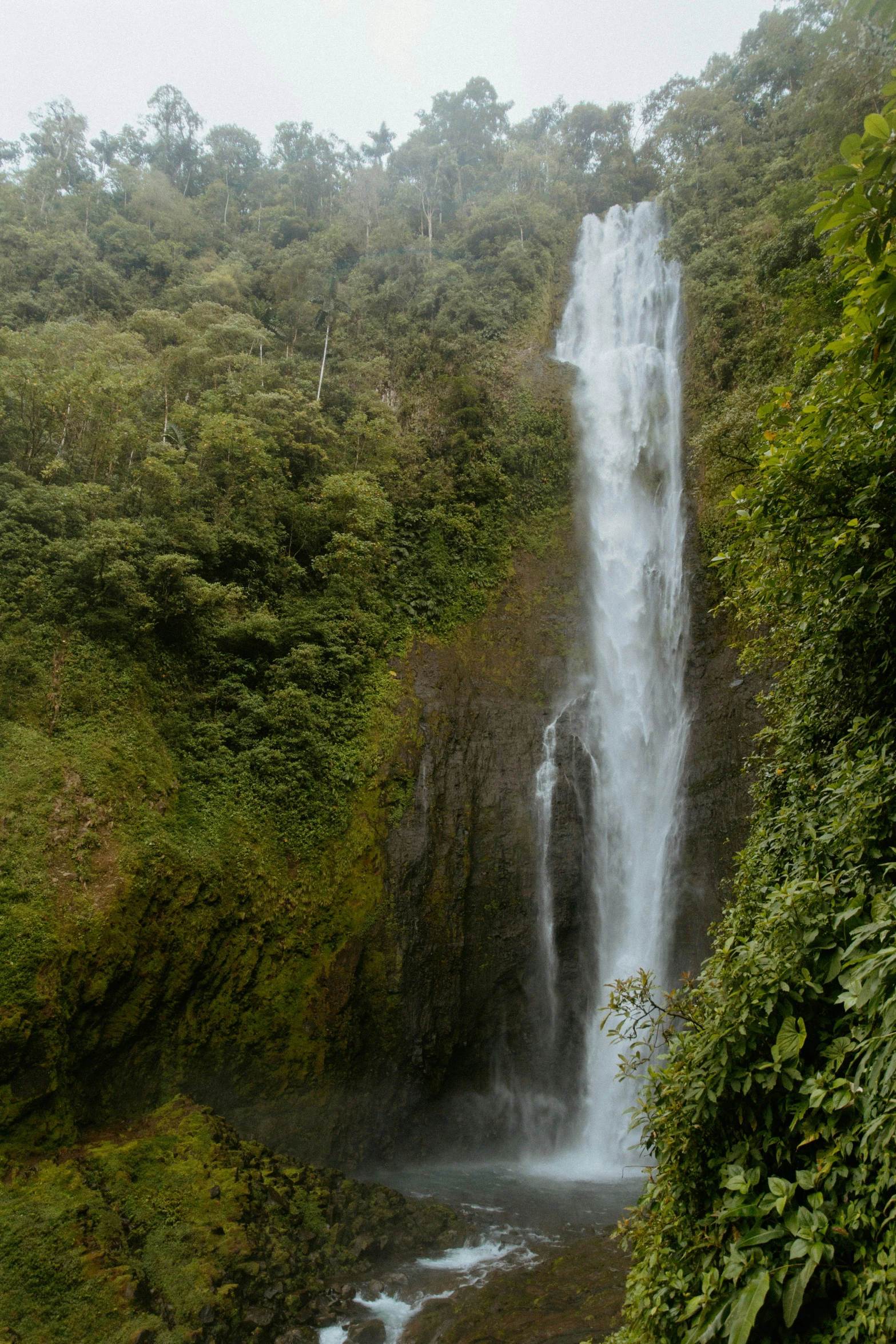 a waterfall surrounded by trees on the side