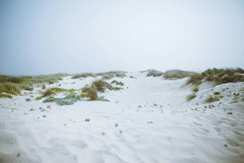 the snow covers a beach area during the winter