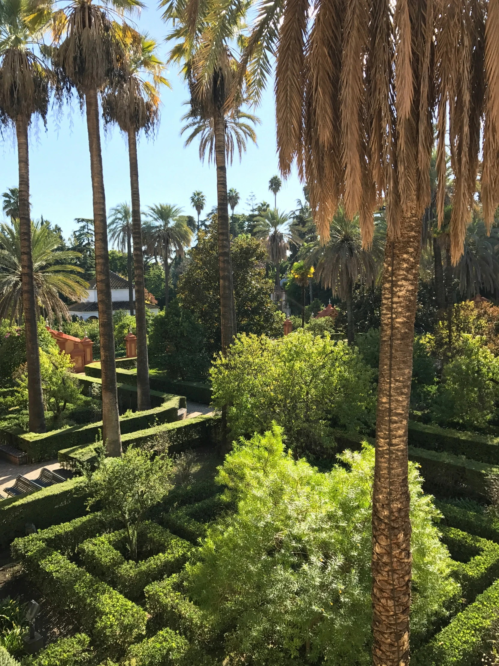 the view from a tower at a garden