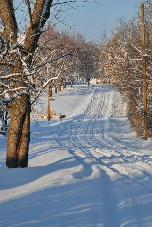 a snow covered street has trees and telephone poles on it