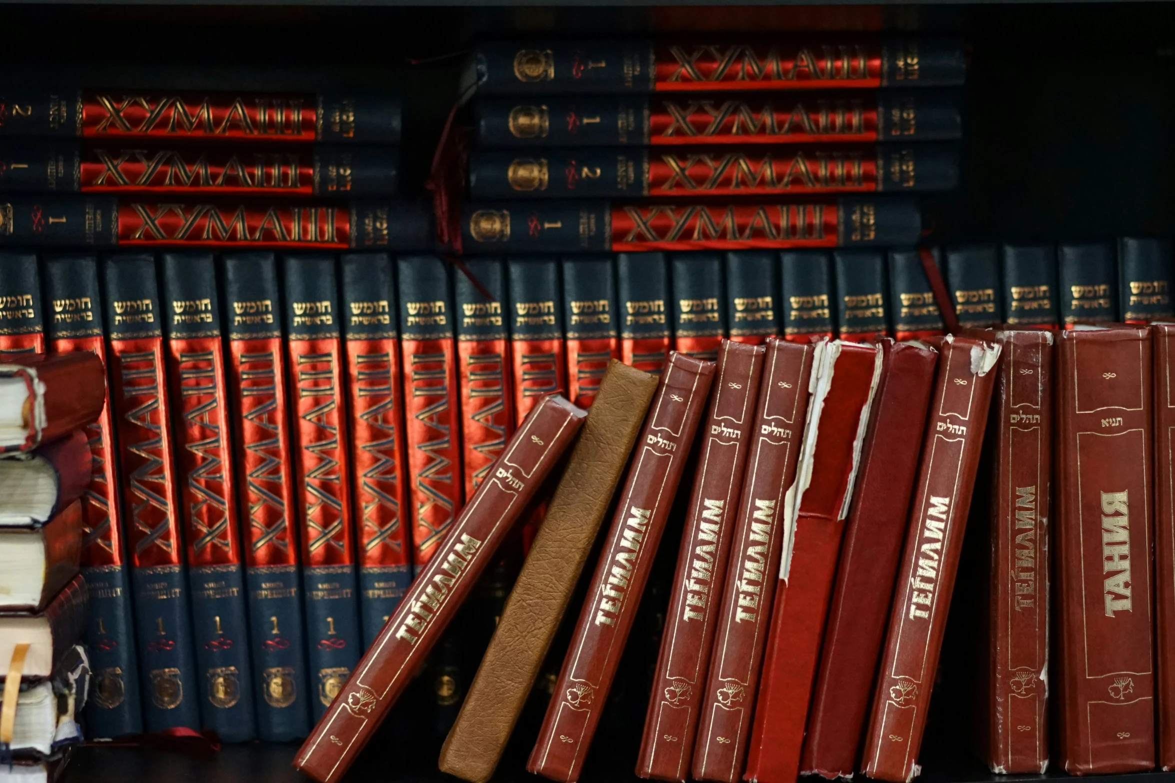 rows of red and blue books in a shelf