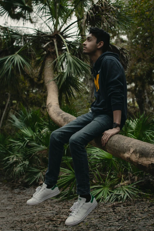 a man is sitting on a fallen tree in the forest