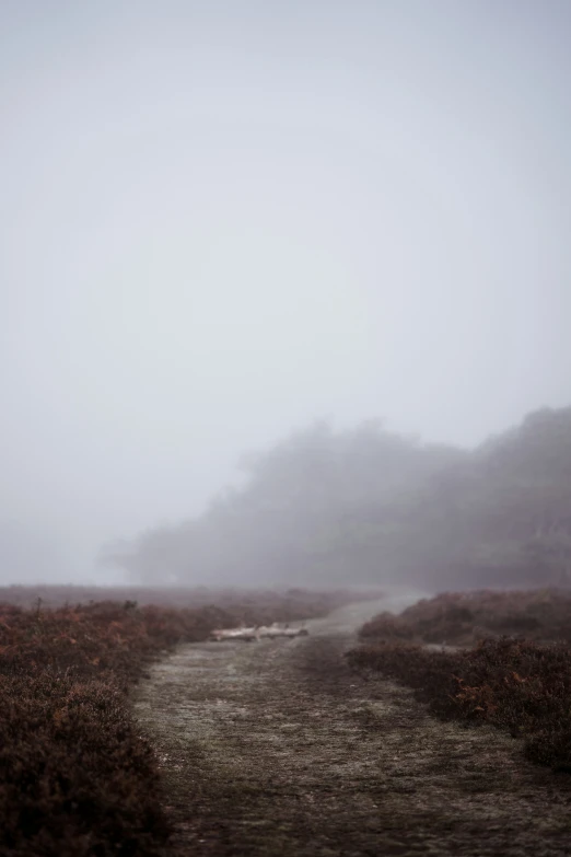 fog rolling in over hills and the sky