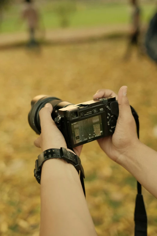 person holding an electronic device in hand near grass