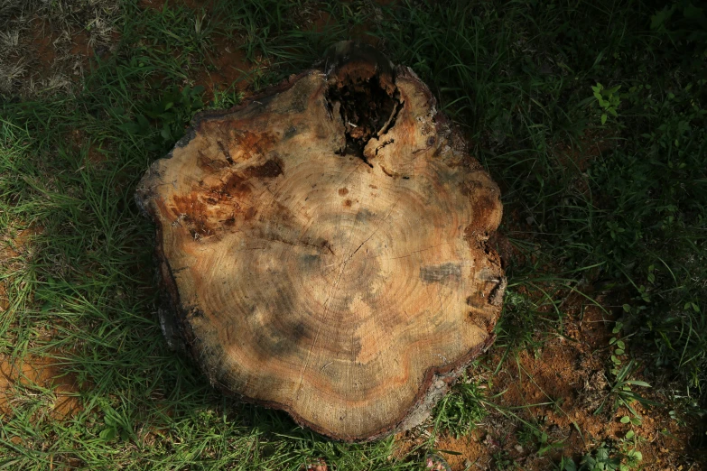 a large rock sitting on top of a green field