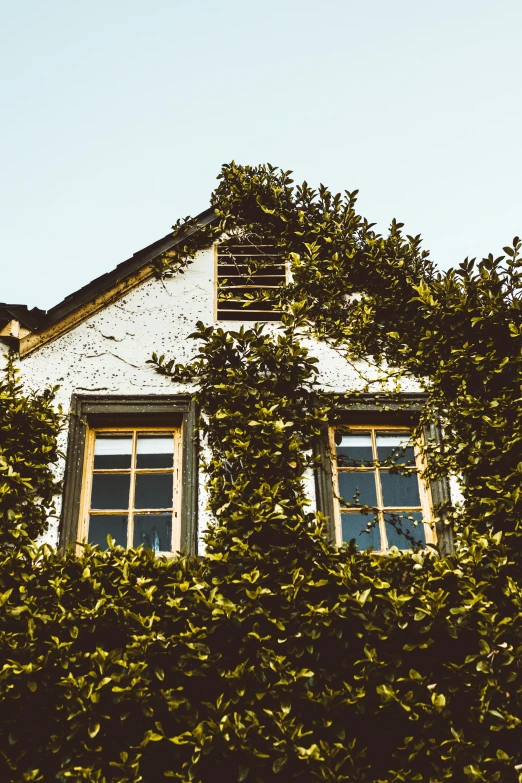 an image of an old building that is surrounded by plants