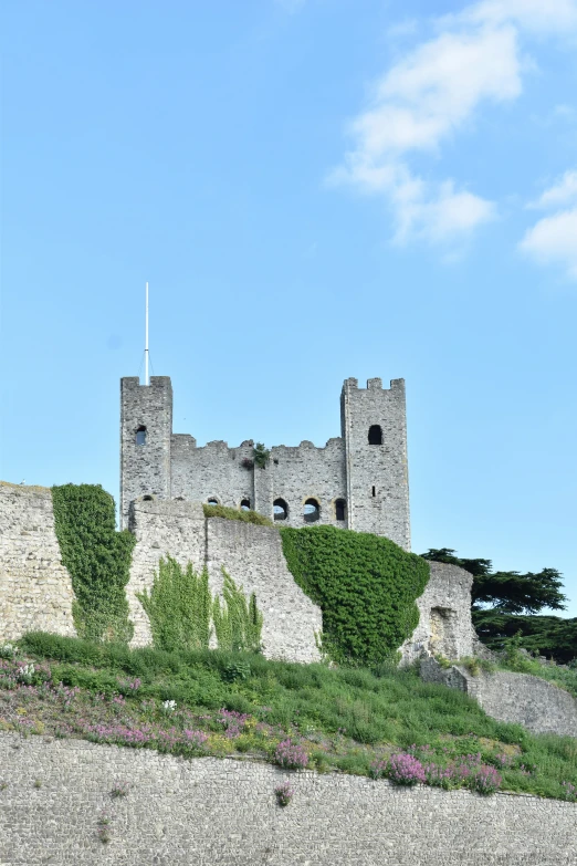 a castle with an iron gate and window frames on top