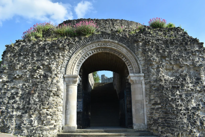 a large stone wall with flowers growing on the top of it