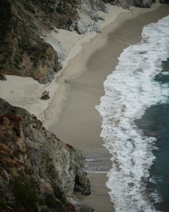 a beach area with many sea birds on the sand