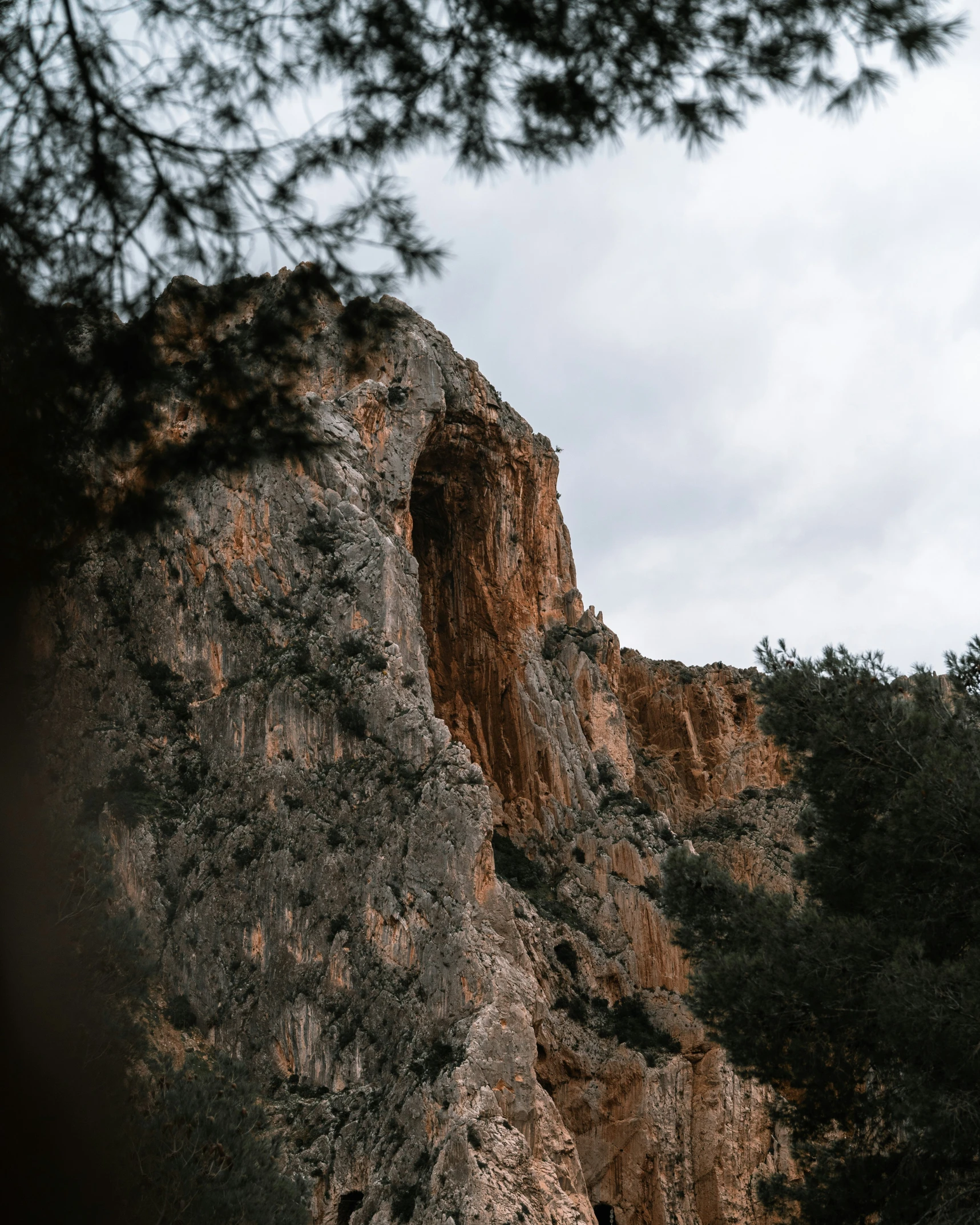 a tall, majestic rock formation rises above some trees