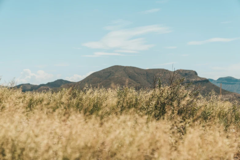 there is a grass covered hill that stretches into the distance