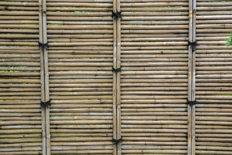 this is an aerial view of a bamboo fence