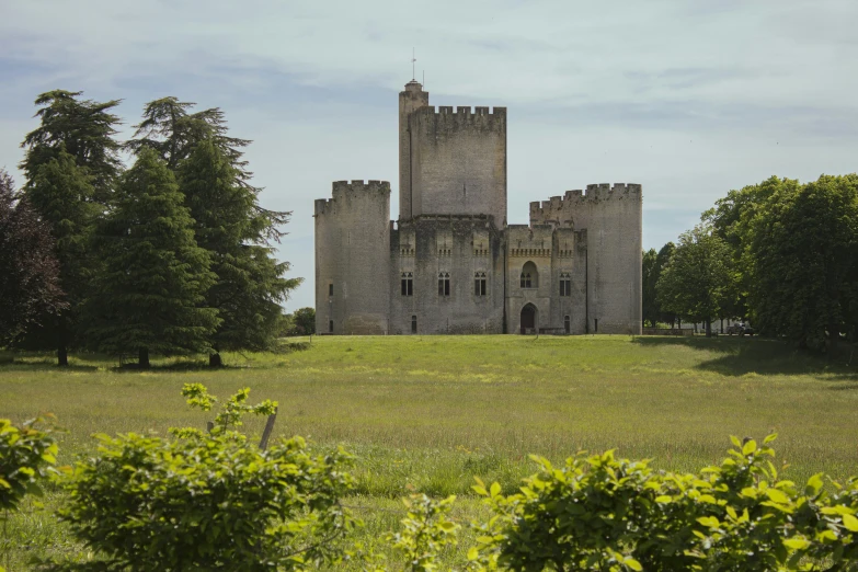 an old, overgrown and worn castle building surrounded by trees