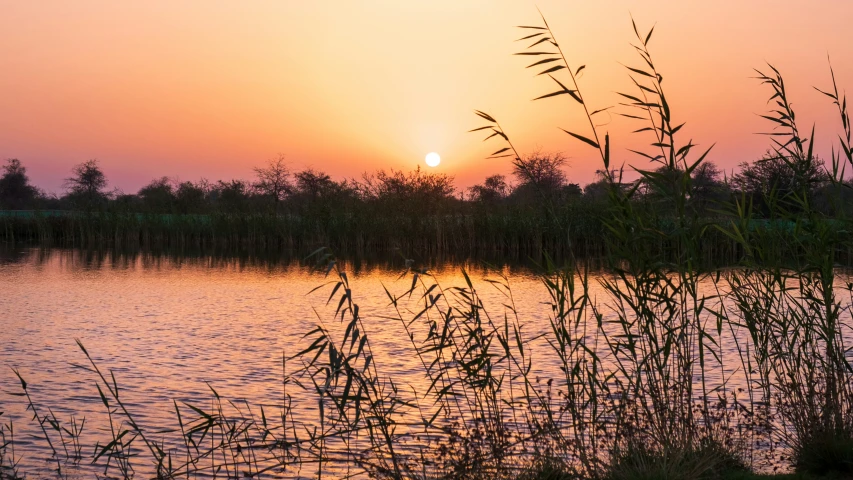 the sun is setting over water surrounded by tall brush