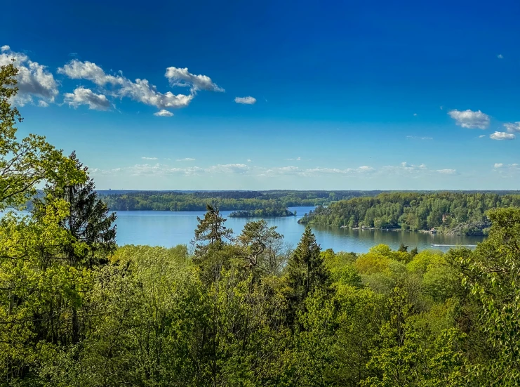 an elevated view of trees and water with blue sky