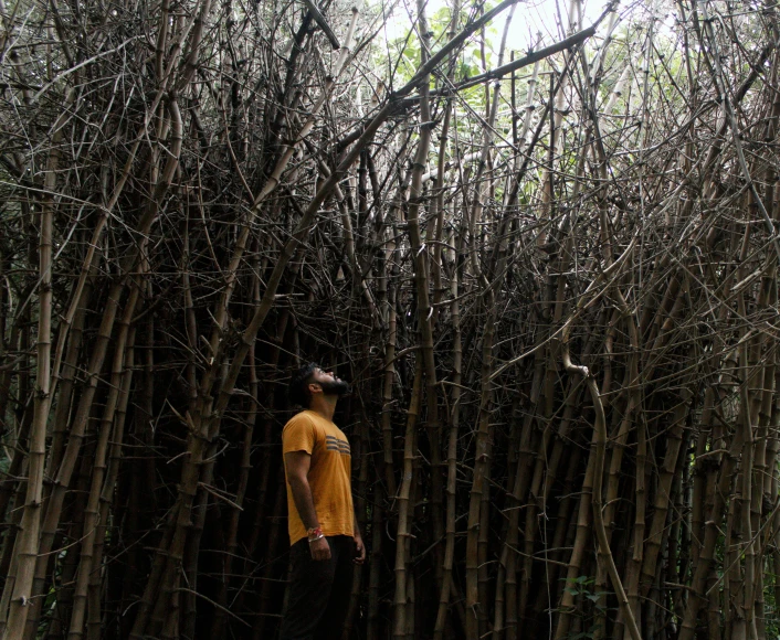 a young man standing in front of trees looking up