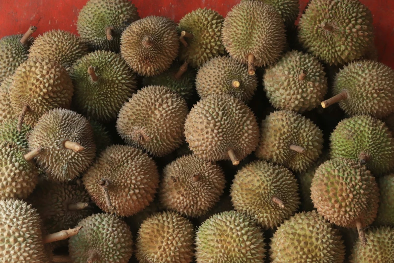 a bunch of fruit is sitting on the ground