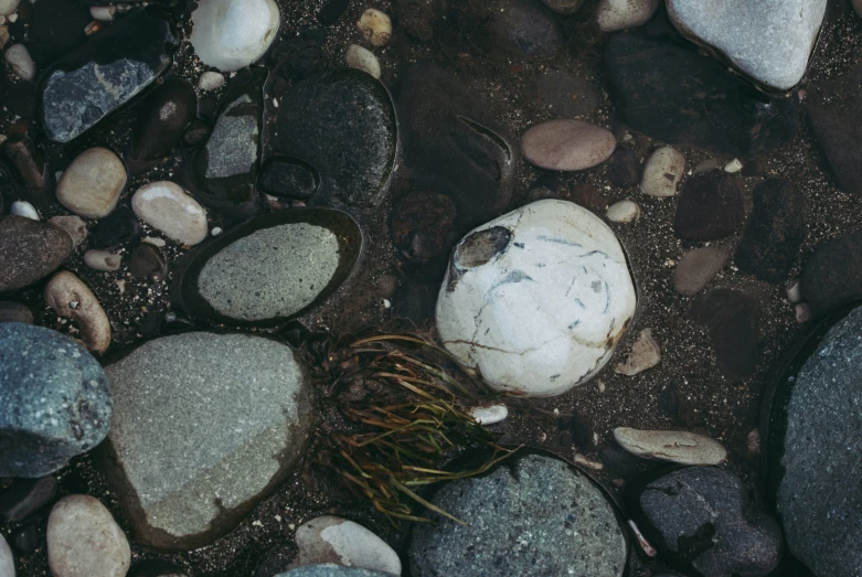 an old worn out rock sits on the rocks