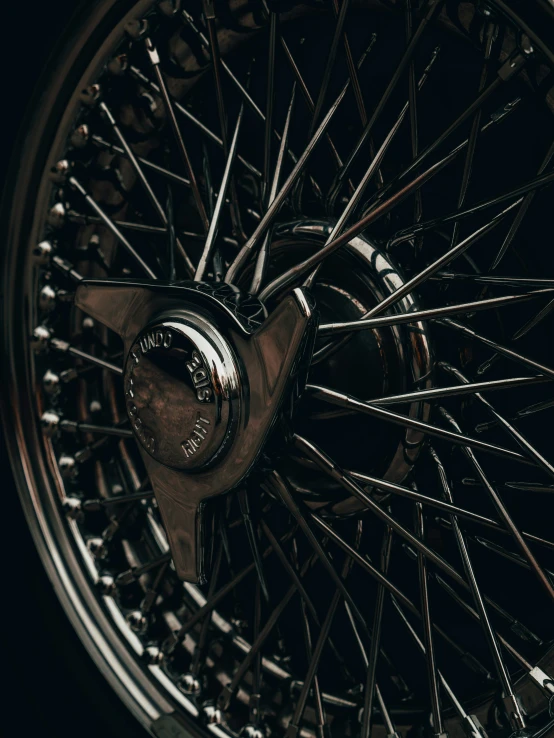 the spokes of the wheel from the vehicle are visible