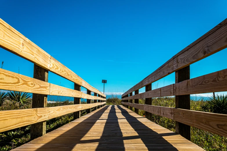 a wooden bridge surrounded by bushes and a body of water