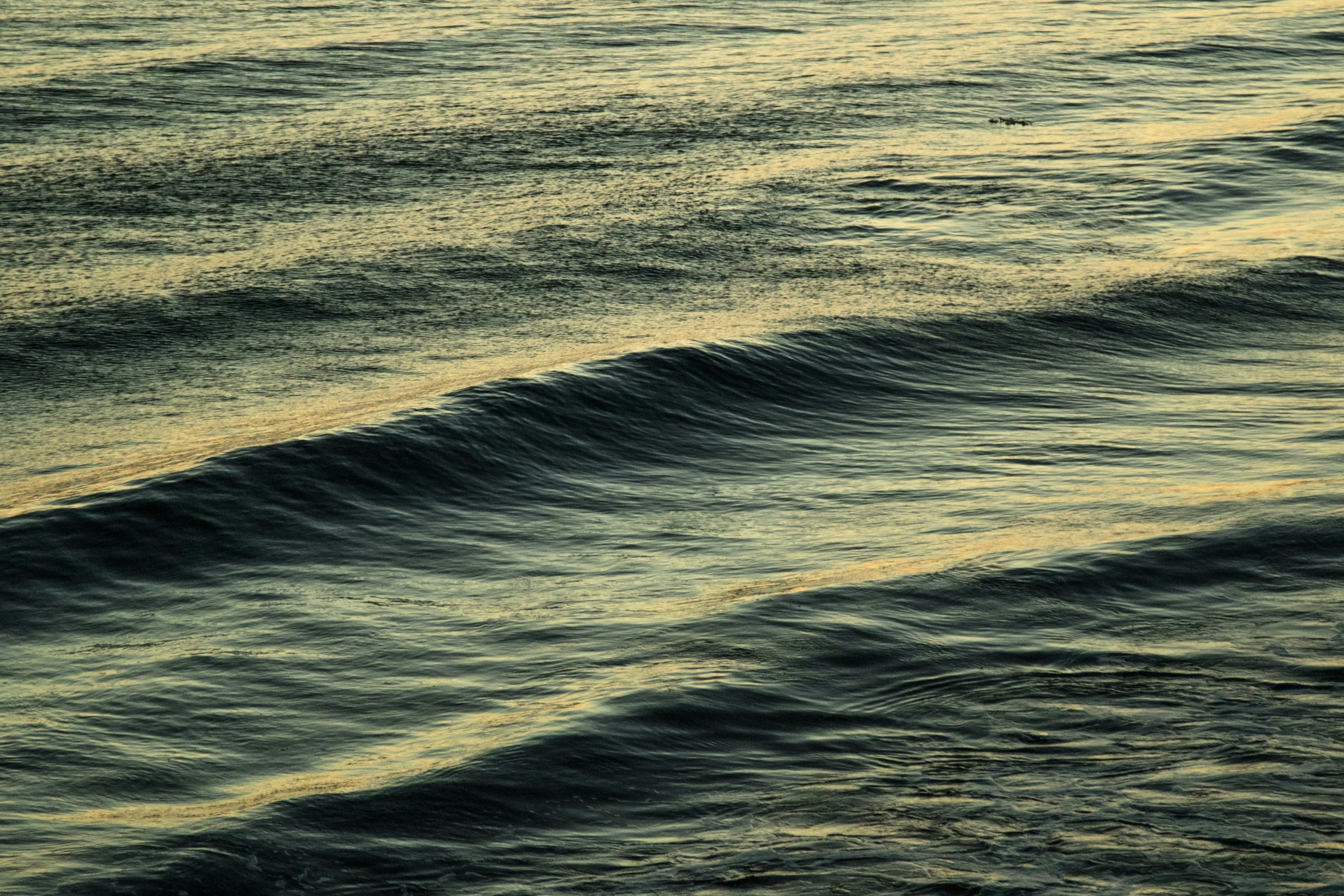 a bird is sitting on a wave in the water