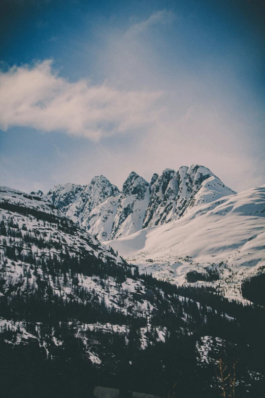 snow covered mountains sitting next to a forest