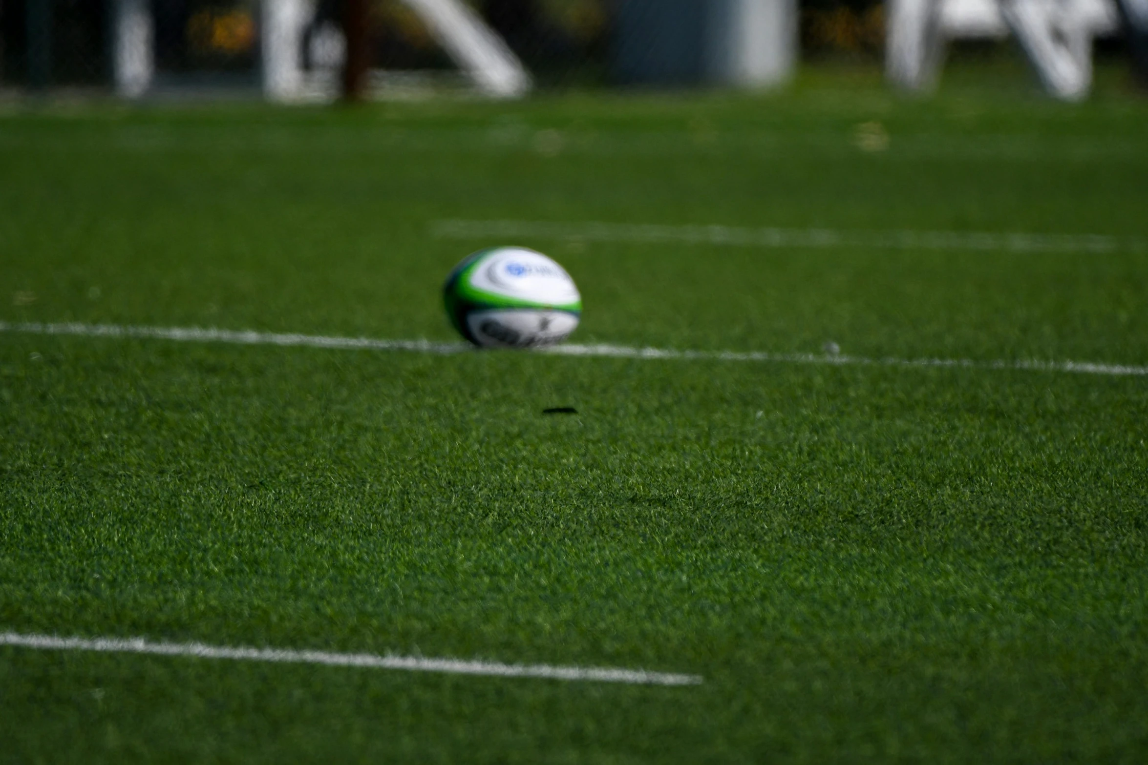 a close - up image of the ball in the green grass