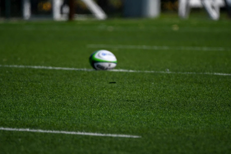 a close - up image of the ball in the green grass