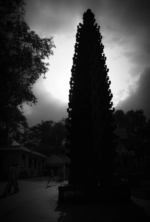 a large tree with a building in the background