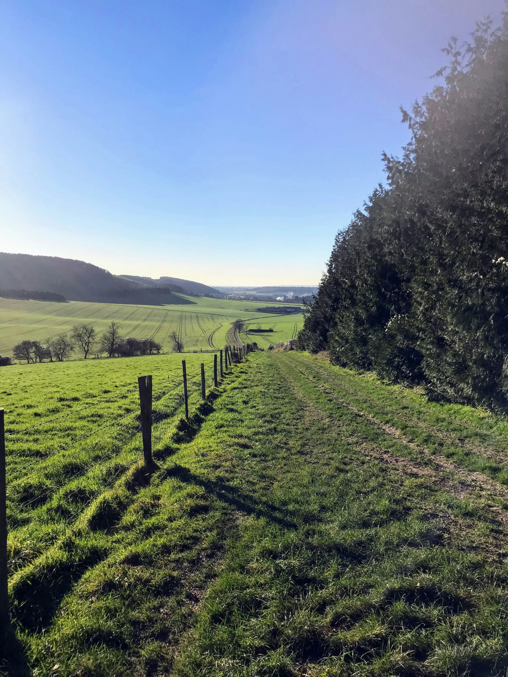 a view down a grassy field with fence and trees