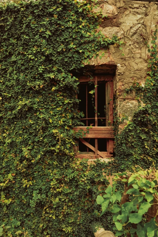 a very small door to a building covered in plants